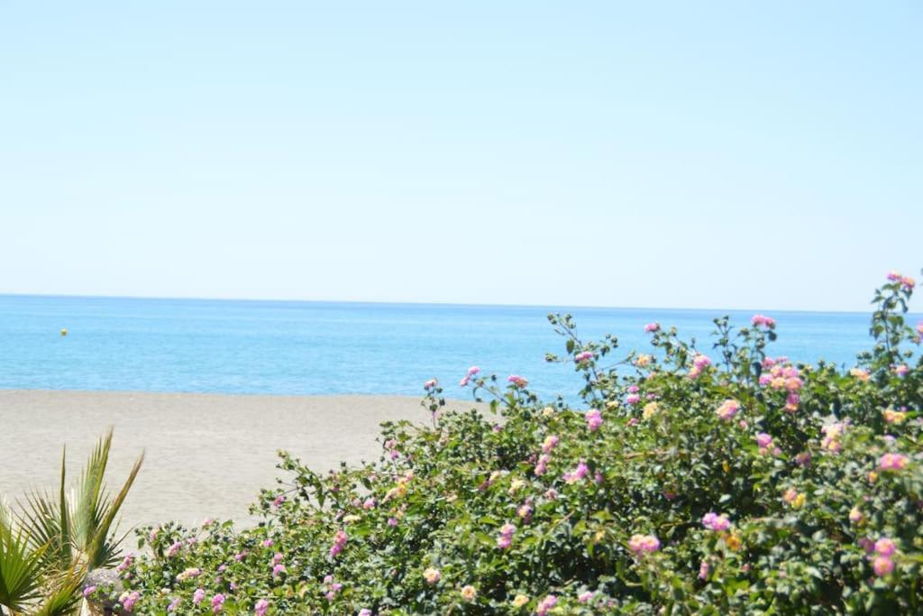 Appartement Nuevo, Disfruta Del Silencio, Familias Con Ninos, Aire Acondicionado, 2 Banos , Playa